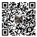 һL̩QQ֙CWվ