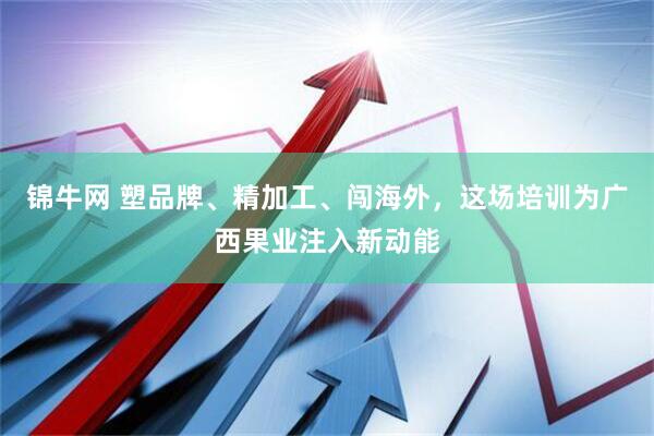 锦牛网 塑品牌、精加工、闯海外，这场培训为广西果业注入新动能